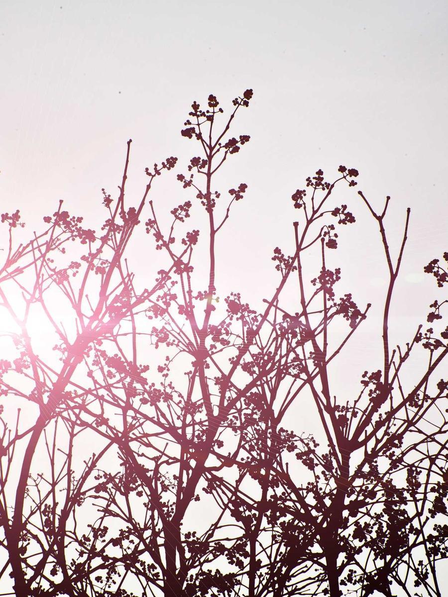 Photograph accompanying Marketing coursework